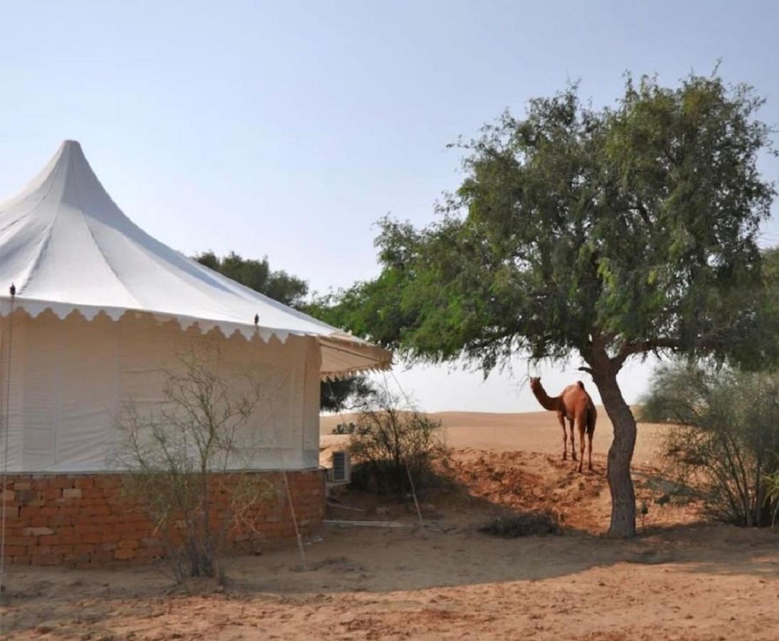 Wild Heritage Desert Camp Hotel Jaisalmer Eksteriør billede